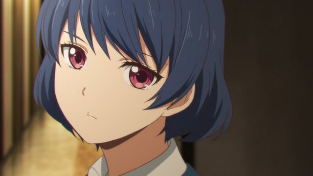 Review: Domestic na Kanojo